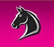 Stallion Esports