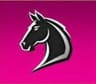 Stallion Esports