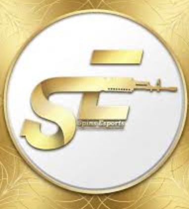 Spins Esport